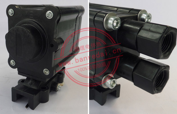 BJW51-120/E507S-LSC電伴熱防爆溫控器